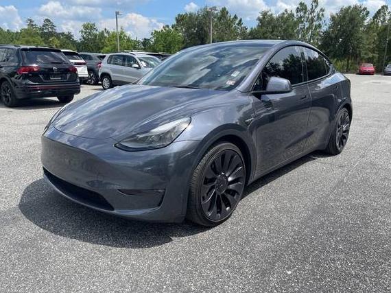 TESLA MODEL Y 2023 7SAYGDEF7PF661963 image